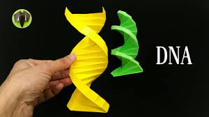 origami-in-DNA